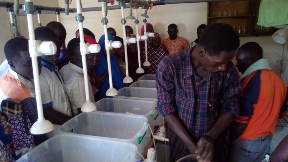 Farmer tending crops using sustainable techniques