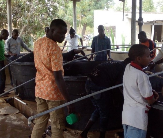 Young people participating in skill-building activities